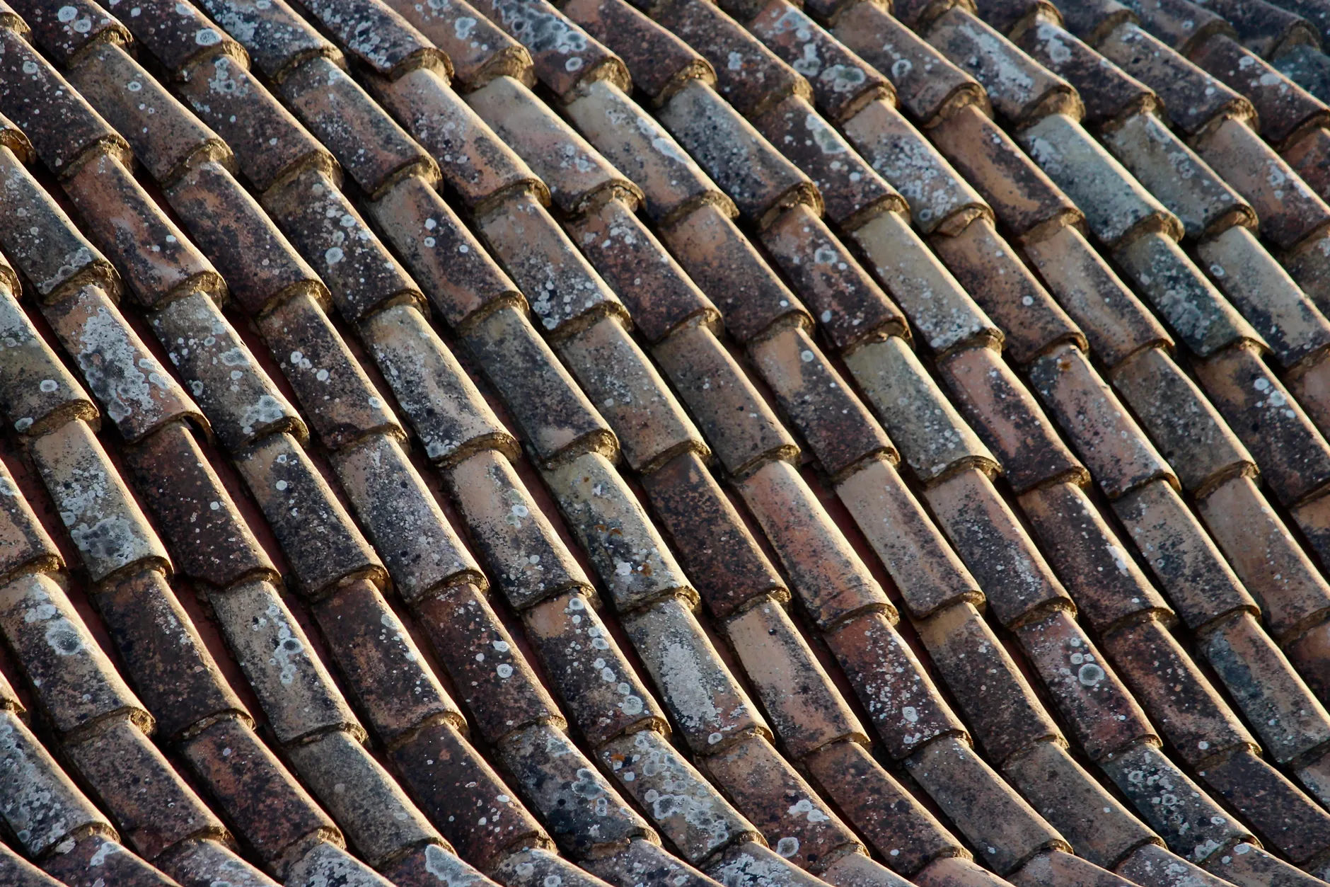 Gutter Clearing and a Post-Clean Survey